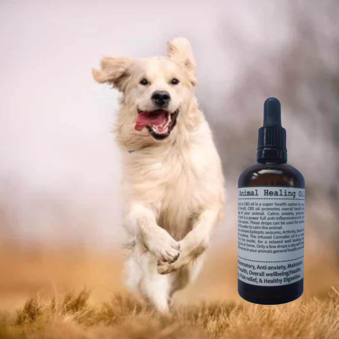 CBD Animal Healing Oil 30ml SKINTOPIA